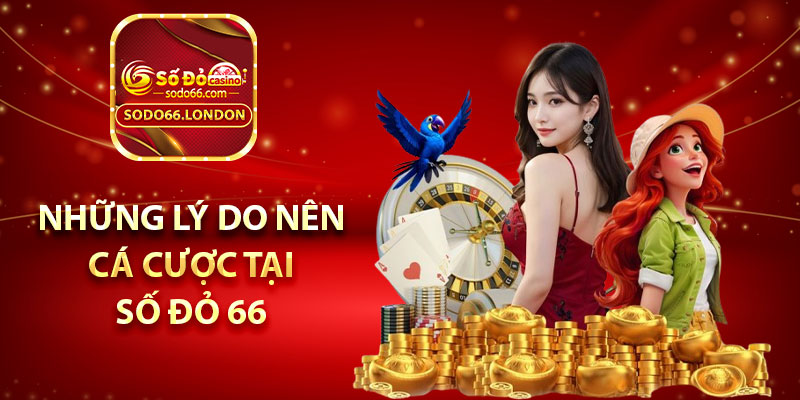 Những lý do nên cá cược tại Số Đỏ 66