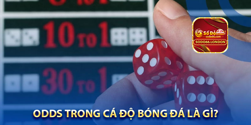 odds trong cá độ bóng đá là gì