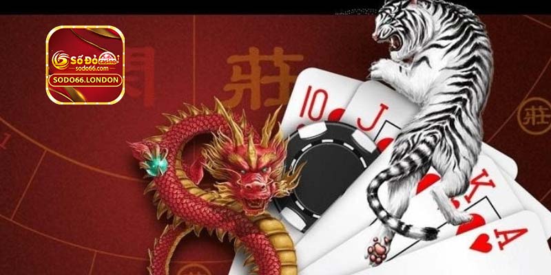 Hướng dẫn nhập môn game bài rồng hổ online