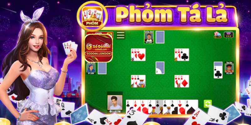 Những thuật ngữ thường gặp trong bài Phỏm